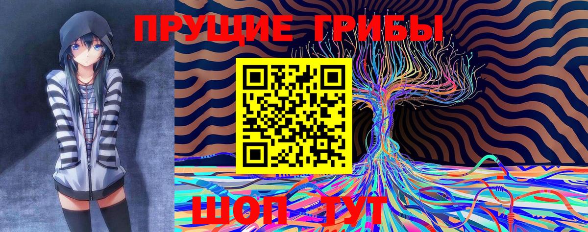 Псилоцибиновые грибы GOLDEN TEACHER  Вход с VPN  Галлюциногенные грибы MAGIC MUSHROOMS  Тулун 