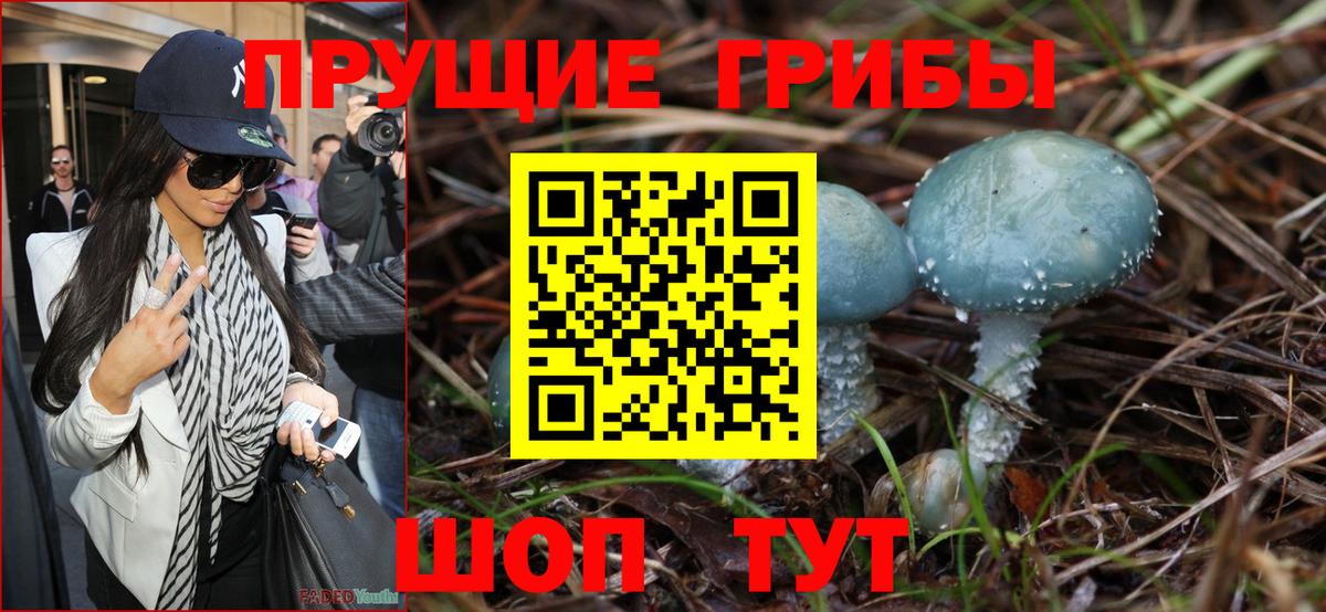 Галлюциногенные грибы GOLDEN TEACHER Тулун